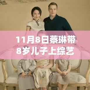 蔡琳携子参加综艺,新手爸妈的亲子互动学习之旅指南