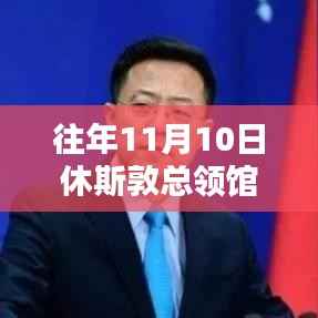 休斯敦总领馆最新消息,揭秘往年11月10日的动态与要闻速递