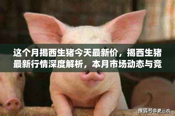 揭西生猪最新行情深度解析,本月市场动态、竞品对比及价格走势揭秘