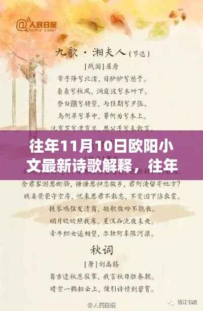 欧阳小文诗歌解析，诗意深度解读与情感探索——往年11月10日诗歌解读分享
