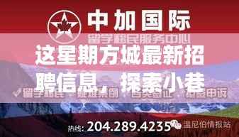 方城最新招聘信息揭秘，小巷秘境与独特小店之旅