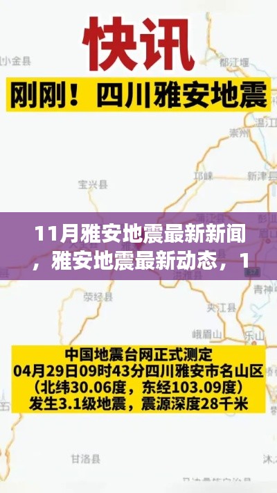 雅安地震最新动态,救援进展报告及地震活动更新(11月版)