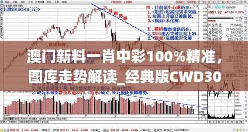 澳门新料一肖中彩100%精准,图库走势解读_经典版CWD305.61