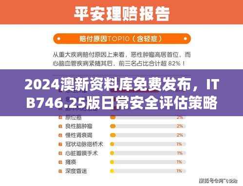 2024澳新资料库免费发布,ITB746.25版日常安全评估策略