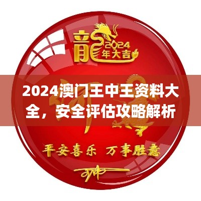 2024澳门王中王资料大全,安全评估攻略解析_NIK824.19