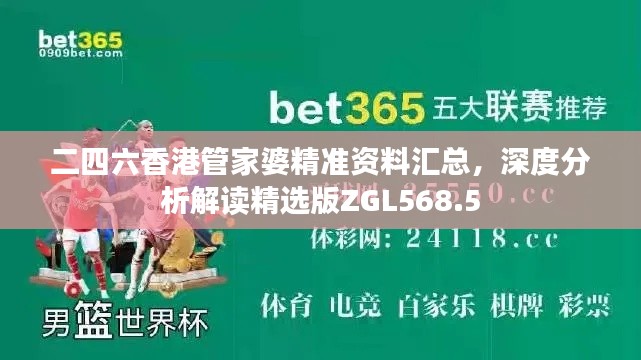 二四六香港管家婆精准资料汇总,深度分析解读精选版ZGL568.5