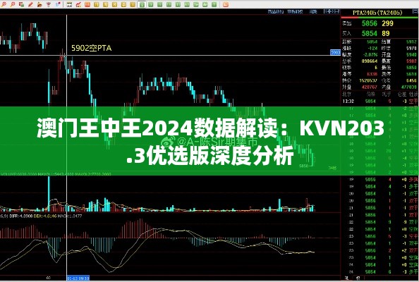 澳门王中王2024数据解读:KVN203.3优选版深度分析