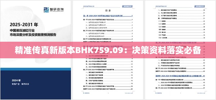 精准传真新版本BHK759.09:决策资料落实必备