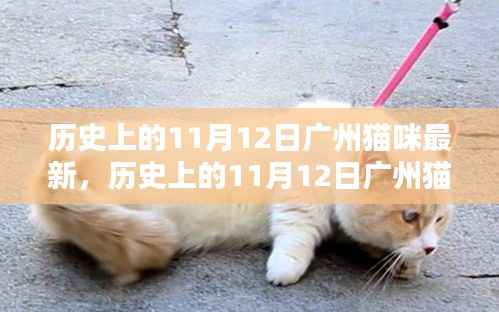 联系我们 第216页