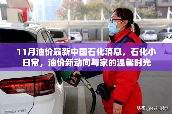 中国石化油价最新动态,日常石化生活与油价新动向的温馨时光