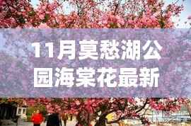 莫愁湖公园海棠花盛开,学习成就自信之花展最新风采