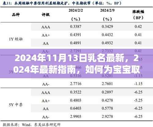 2024年11月13日特别版,宝宝独特乳名取名指南