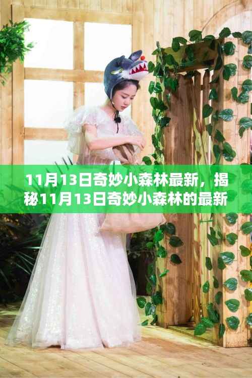 揭秘,最新动态,探索奇妙小森林的未知领域(日期,11月13日)