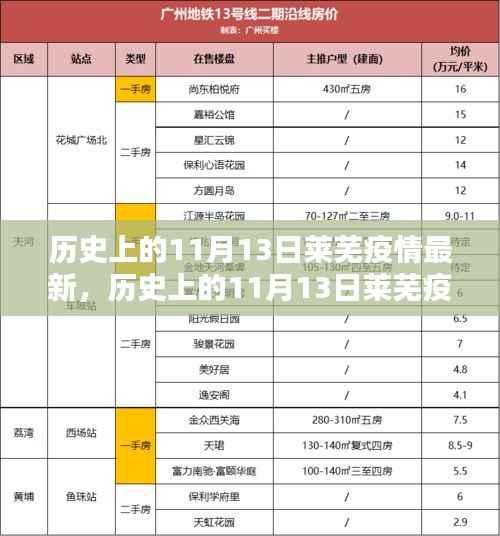 历史上的11月13日莱芜疫情全面解析,最新状况与深度探讨