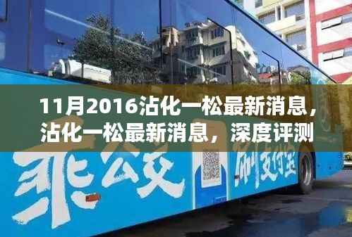 沾化一松深度评测与介绍文章,最新消息回顾