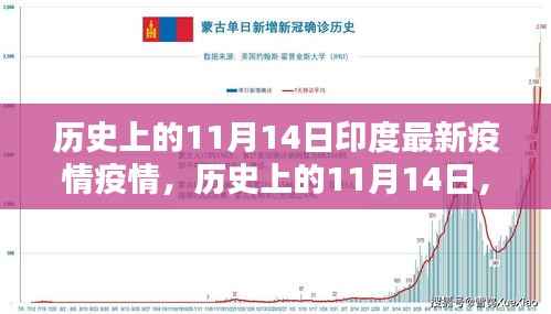 历史上的11月14日印度疫情深度解析,最新疫情状况及影响