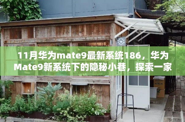 华为Mate9最新系统探索,隐秘小巷的特色小店