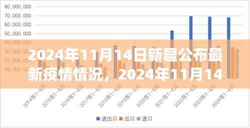 新疆最新疫情情况解读与案例分析，全面公布与深入分析（2024年11月14日）