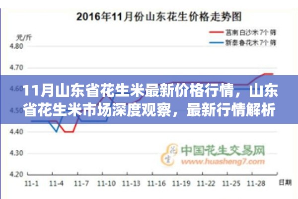 11月山东省花生米最新价格行情,山东省花生米市场深度观察,最新行情解析与竞品对比