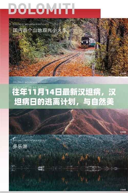 汉坦病日的逃离计划,与自然美景的紧密连结与应对策略