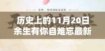 历史上的11月20日，余生有你，自难忘——最新深度解析回顾与感悟