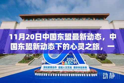 中国东盟新动态下的自然探索之旅,心灵之旅启程