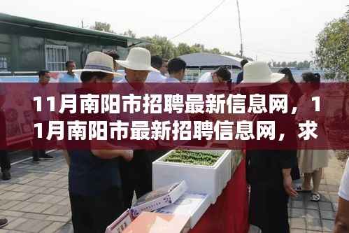 11月南阳市最新招聘信息大全,求职招聘黄金季节