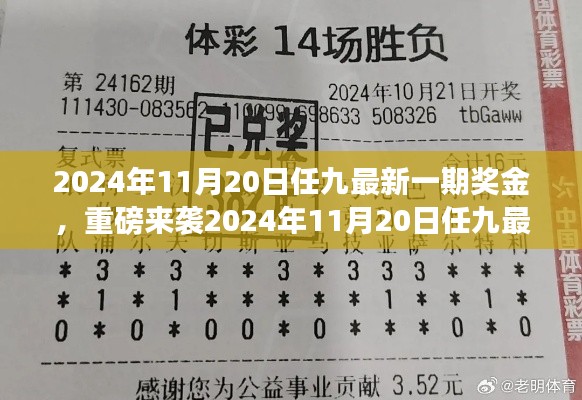 揭秘2024年11月20日任九最新一期奖金揭晓,财富密码大解密!