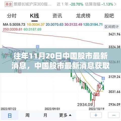 往年11月20日中国股市动态解析，获取最新消息指南及初学者进阶技巧
