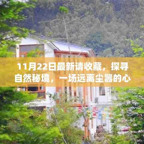 11月22日探寻自然秘境之旅,心灵启程,珍藏美好瞬间