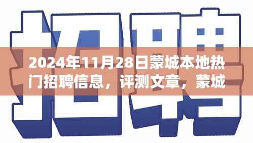 蒙城本地热门招聘信息深度解析与评测报告(2024年11月28日)