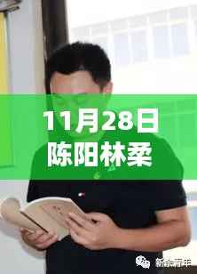 陈阳林柔的温馨日常,11月28日的快乐时光记录