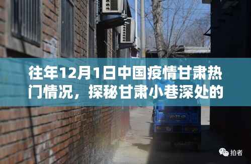 探秘甘肃疫情记忆与独特风味,一家隐藏于岁月静好中的特色小店——历年甘肃疫情回顾与深度观察(独家报道)