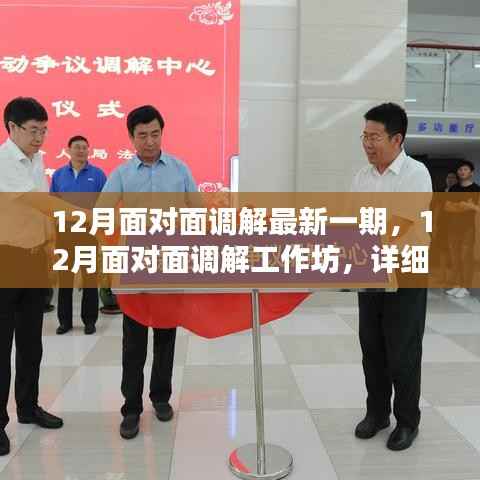 12月面对面调解工作坊,最新一期详细步骤指南与调解策略