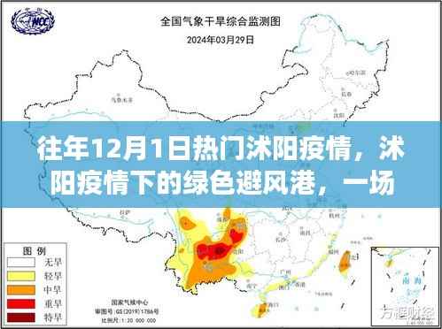 沭阳疫情下的绿色避风港之旅,自然探索与心灵救赎