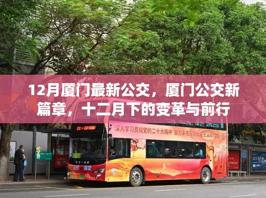 厦门公交新篇章,十二月下的变革与前行之路