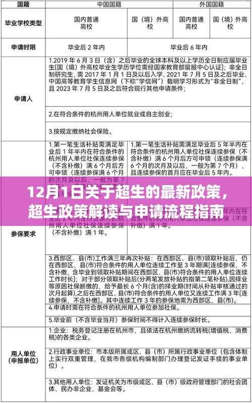 超生政策解读与申请流程指南,最新政策解读适用于初学者与进阶用户