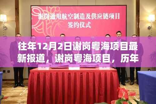 谢岗粤海项目历年深度解读与最新进展报道,历年12月2日最新报道汇总分析