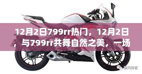 12月2日与799rr共舞自然,奇妙旅行寻找内心平静之旅