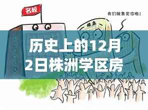 揭秘株洲学区房风云,历史上的十二月二日热门消息背后的故事