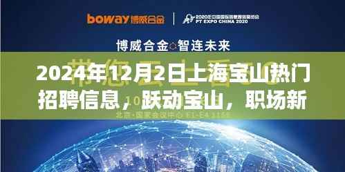 跃动宝山,职场新星,上海宝山热门招聘信息全解析(2024年)
