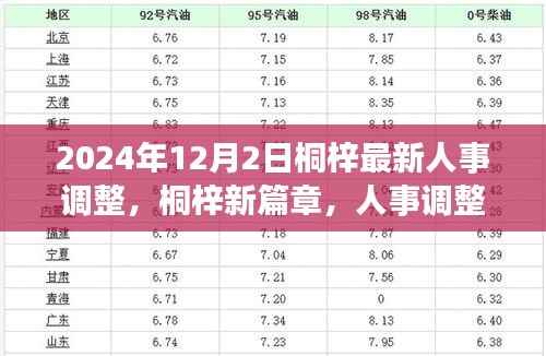 桐梓人事调整背后的故事,新篇章开启于温馨之中,2024年人事调整最新动态