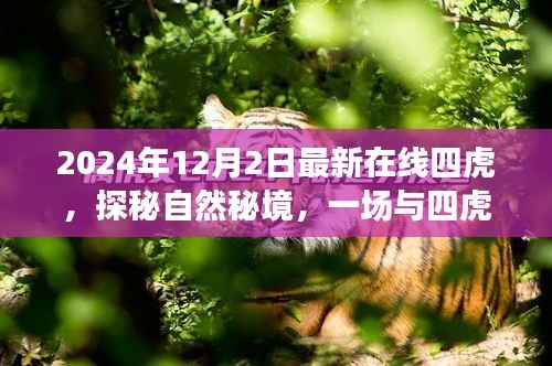 探秘自然秘境,与四虎相伴的心灵之旅(最新在线四虎活动预告)