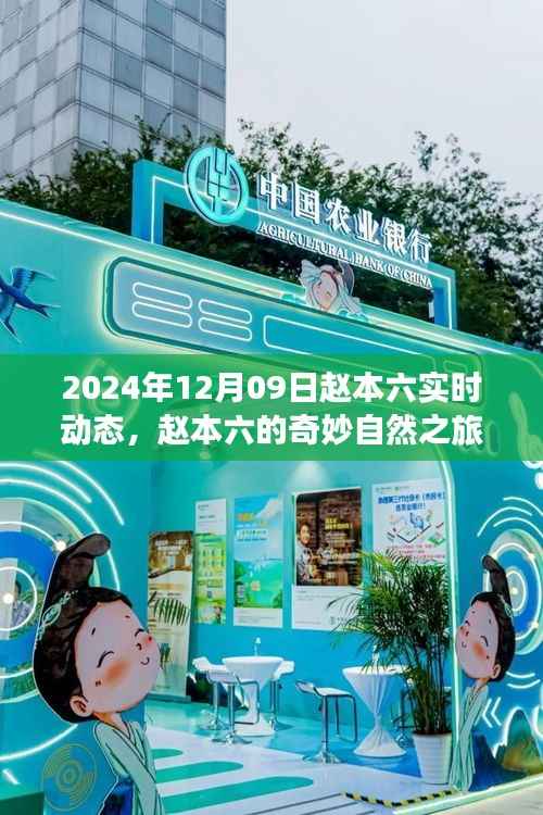 赵本六的奇妙自然之旅，寻找内心平静的美丽秘境（实时更新）