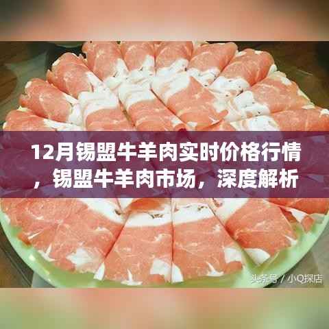 锡盟牛羊肉市场深度解析,十二月实时价格行情报告