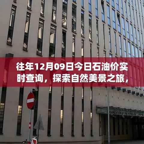 油价波动下的心灵之旅，今日石油价实时查询与探索自然美景的宁静之旅