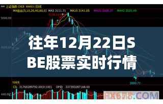 探秘隐藏版特色小店，SBE股票实时行情与独特环境之旅