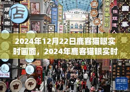 2024年鹿客猫眼实时画面，智能安防的新视界展望