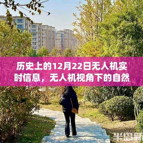 无人机视角下的历史秘境，自然之旅与宁静历史的探索纪实