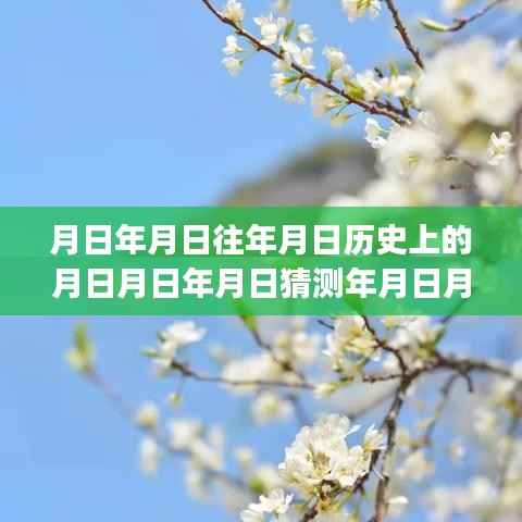 公交车实时APP下的南宁岁月探索,历史轨迹与时光尘埃的探寻之旅